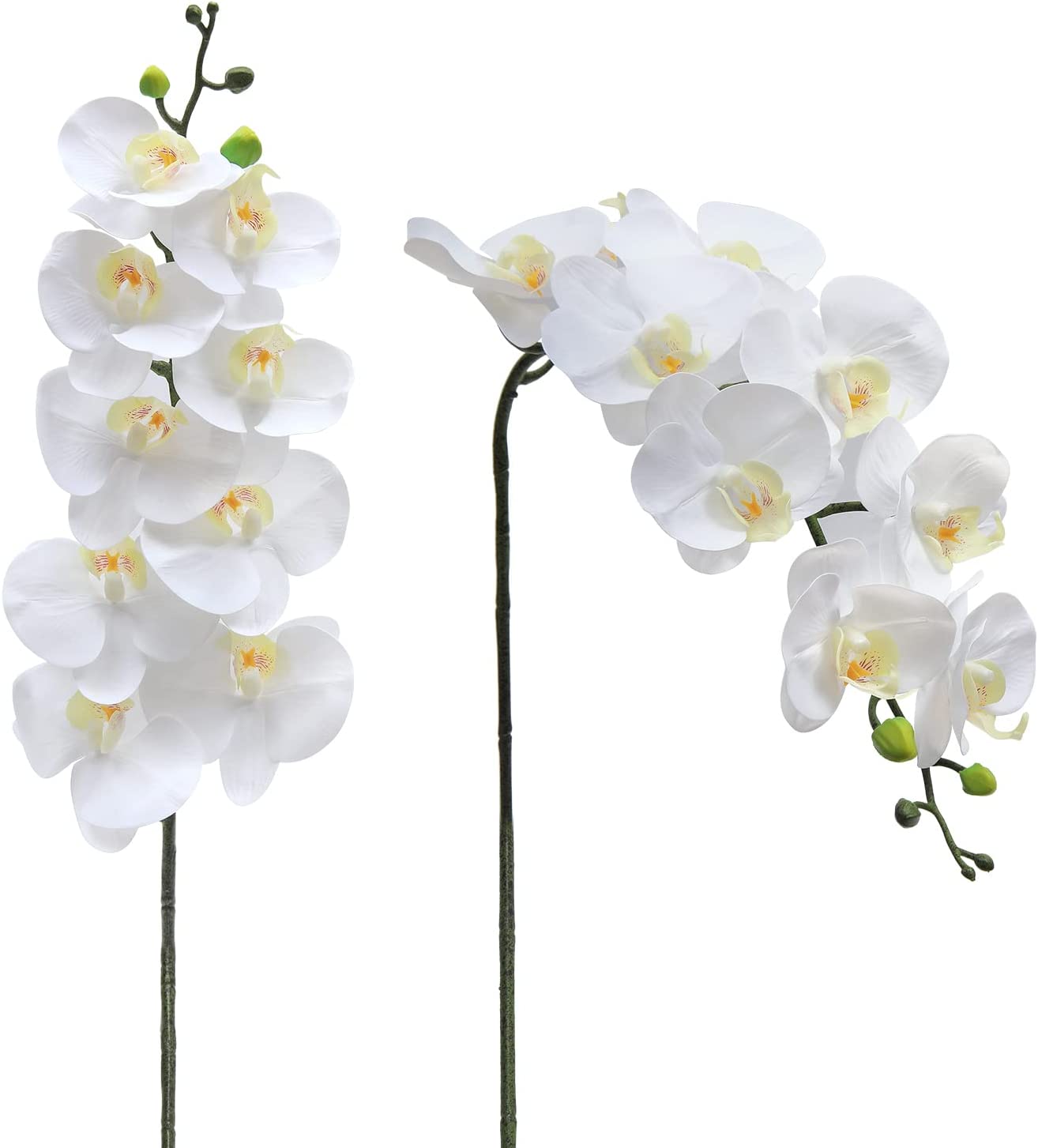 White Orchid Stem