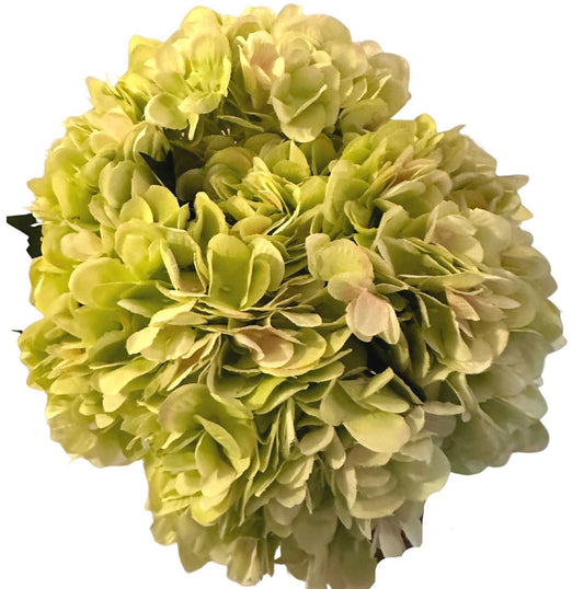 Green Hydrangea Pack