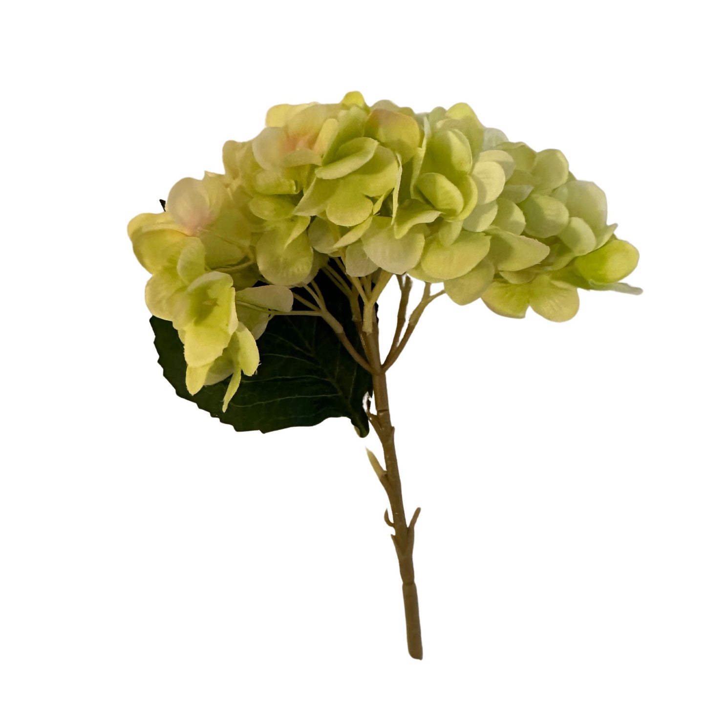 Green Hydrangea Pack