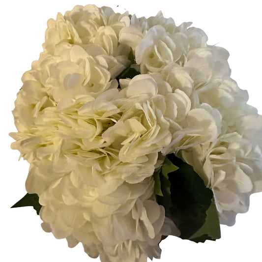 White/Cream Hydrangea Pack