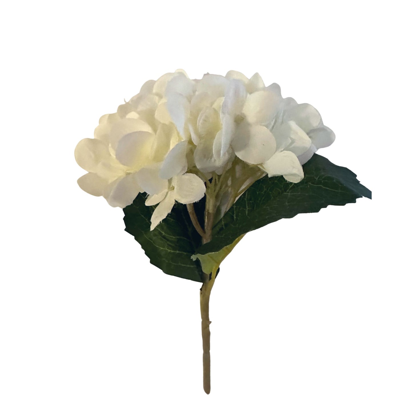 White/Cream Hydrangea Pack